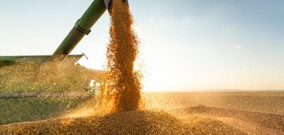 Oats continued a five day positive streak, up $6.75 to $342.75