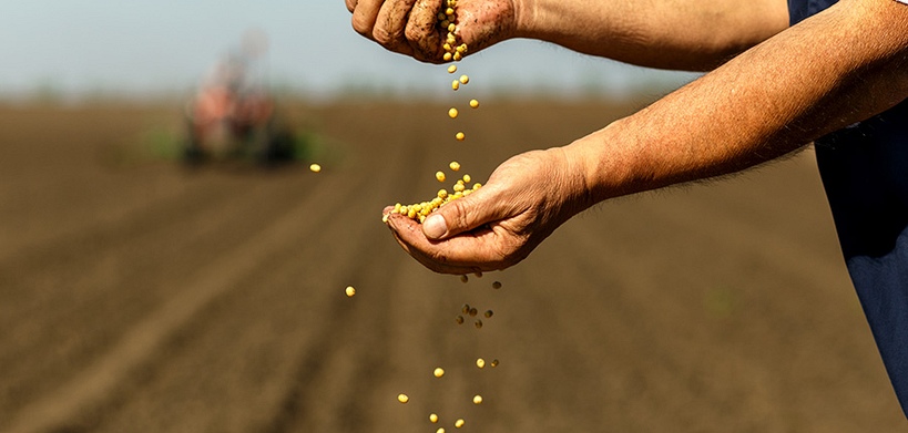 Is the bullish run coming to an end? Soybeans down to $1,329.5 (-0.88%)